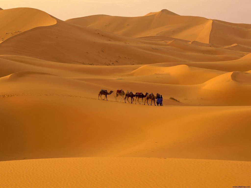 Sahara desert Africa