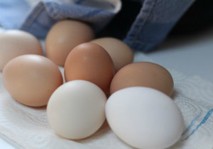 7-egg