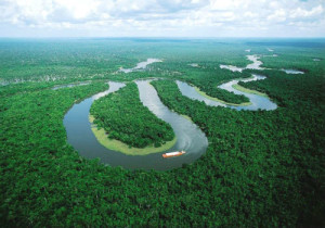 2-amazon-river-aerial
