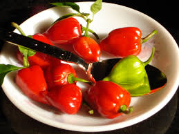 Colour Capsicum Pepper Salad